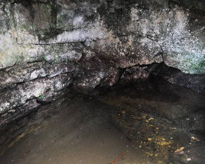 The interior of the well; the water level seem to be rather high.